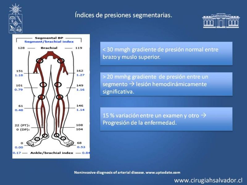 Diapositiva 6 de Laboratorio vascular