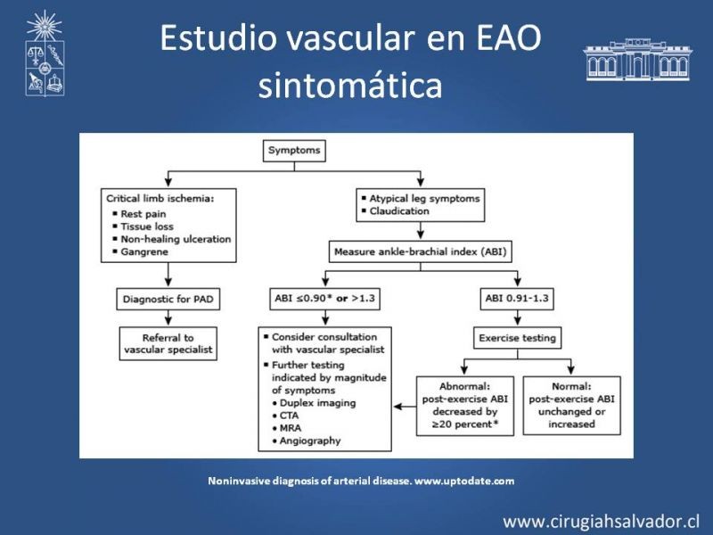 Diapositiva 23 de Laboratorio vascular