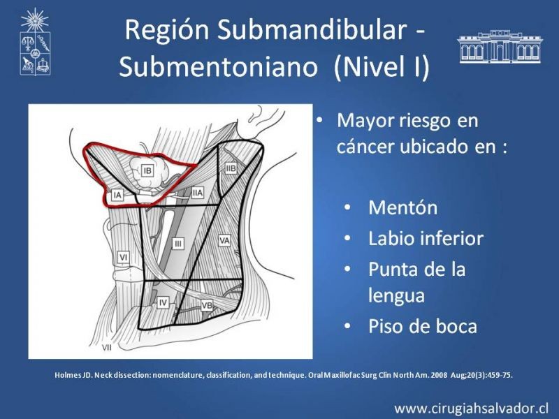Diapositiva 14 de Técnica quirúrgica en disección cervical radical modificada
