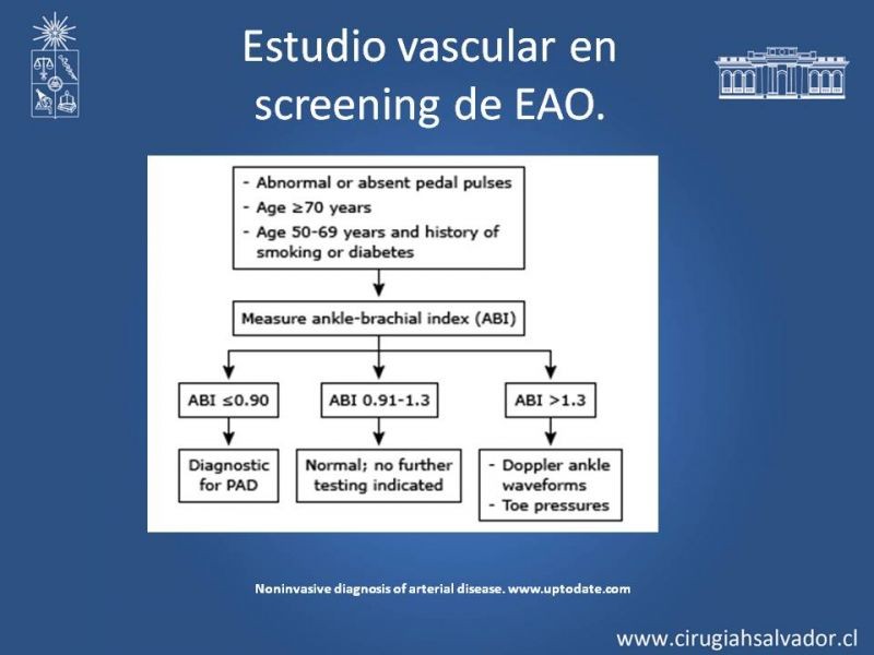 Diapositiva 22 de Laboratorio vascular