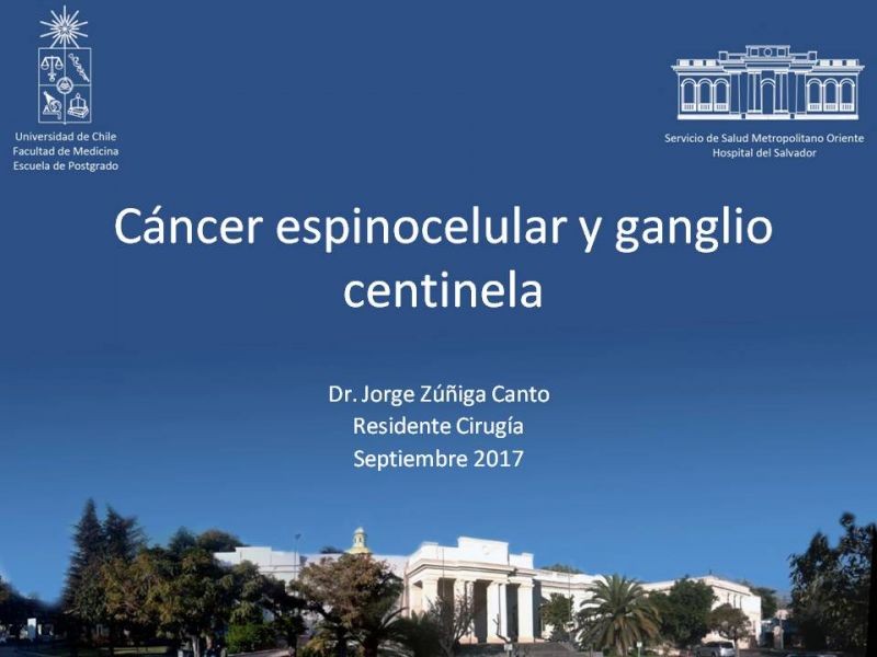 Diapositiva 24 de Cáncer espinocelular y ganglio centinela