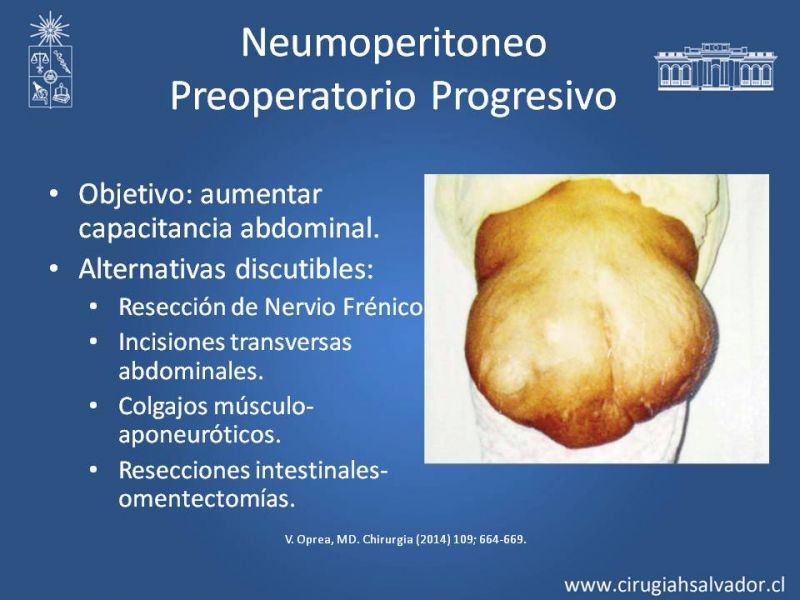Diapositiva 11 de Hernias Ventrales / Incisionales y Obesidad