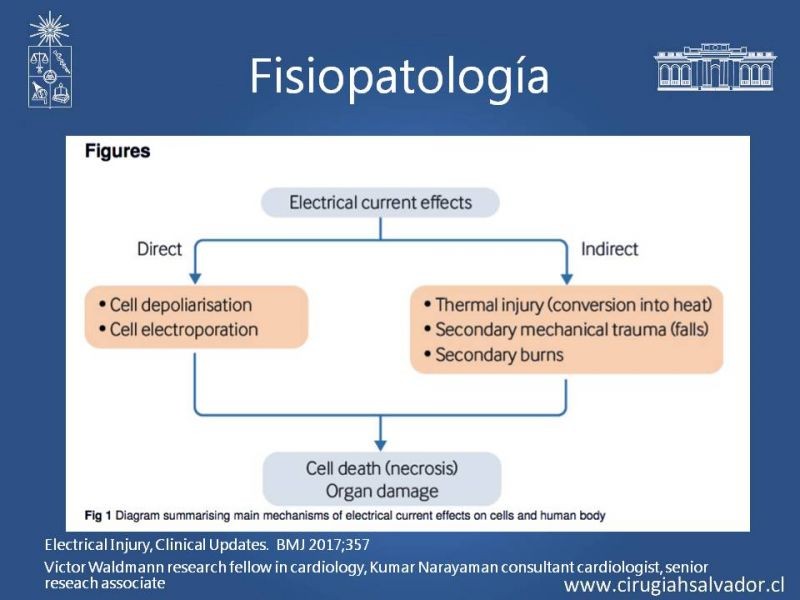 Diapositiva 8 de Quemaduras Eléctricas