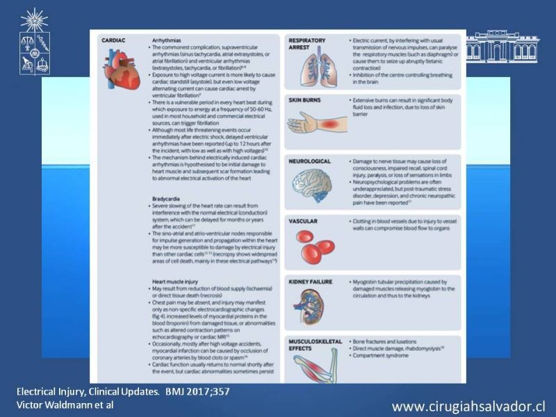 Diapositiva 14 de Quemaduras Eléctricas
