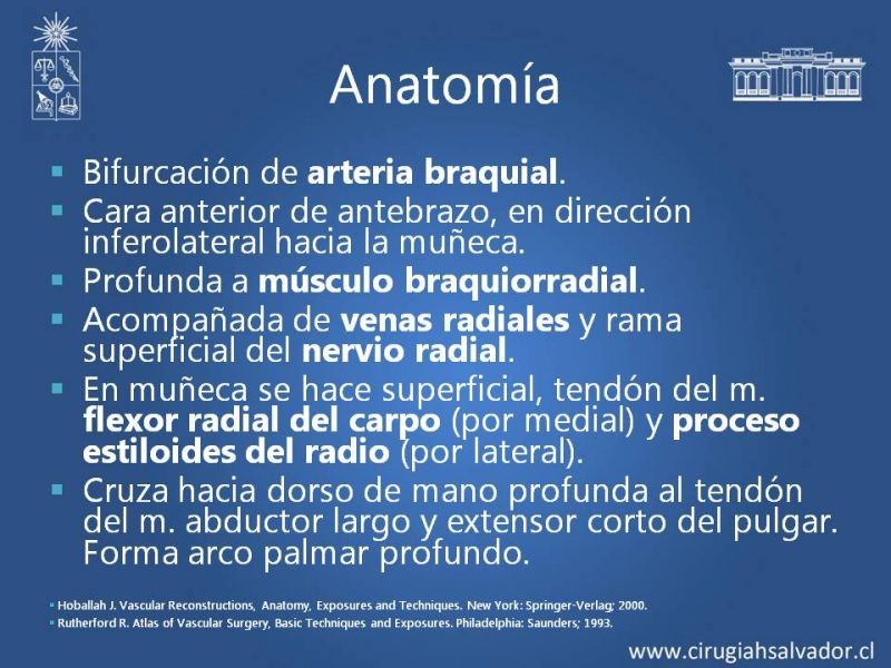 Diapositiva 18 de Anatomía quirúrgica y accesos vasculares: Arteria axilar, braquial, radial y ulnar