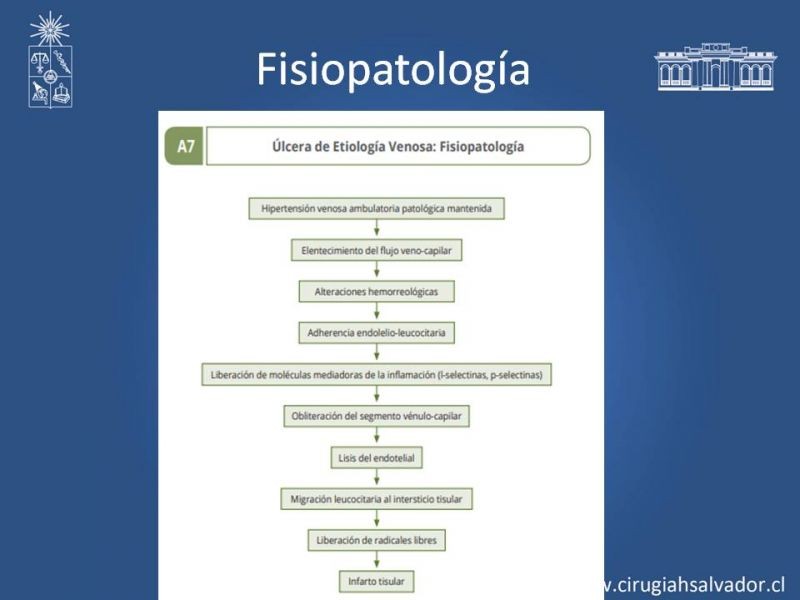 Diapositiva 10 de Úlceras de EEII: Diagnóstico diferencial y tratamiento