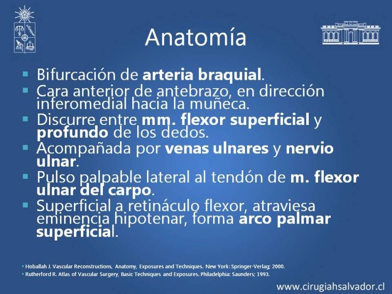 Diapositiva 22 de Anatomía quirúrgica y accesos vasculares: Arteria axilar, braquial, radial y ulnar
