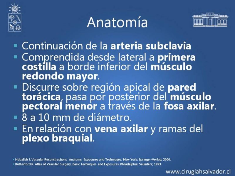 Diapositiva 5 de Anatomía quirúrgica y accesos vasculares: Arteria axilar, braquial, radial y ulnar