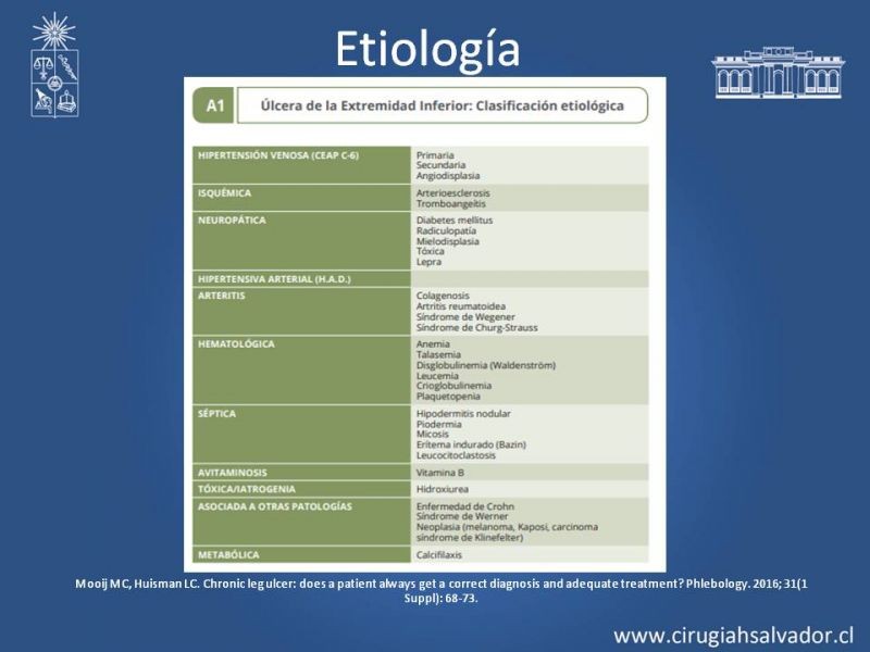 Diapositiva 3 de Úlceras de EEII: Diagnóstico diferencial y tratamiento