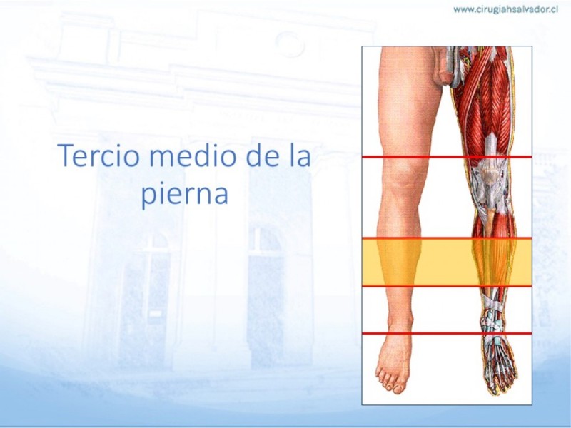 Diapositiva 37 de Cobertura de Extremidades Inferiores