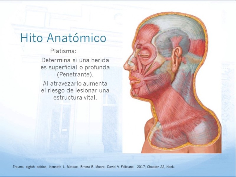 Diapositiva 1 de Trauma Cervical