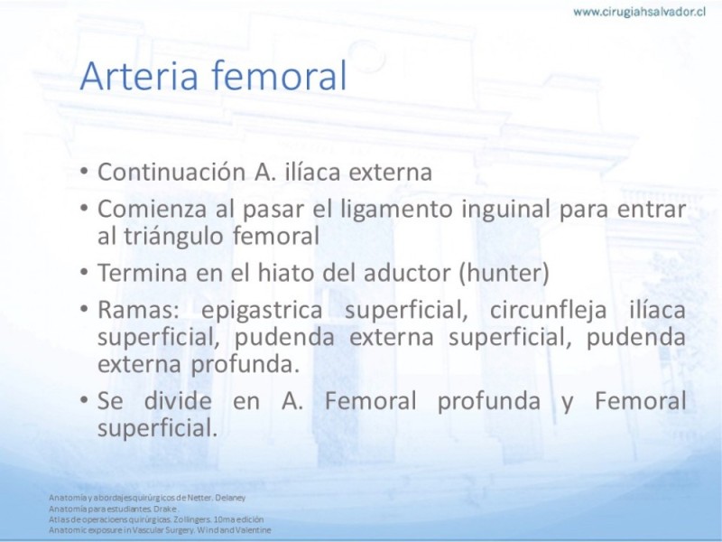 Diapositiva 1 de Anatomía quirúrgica y accesos quirúrgicos femoral y poplíteo