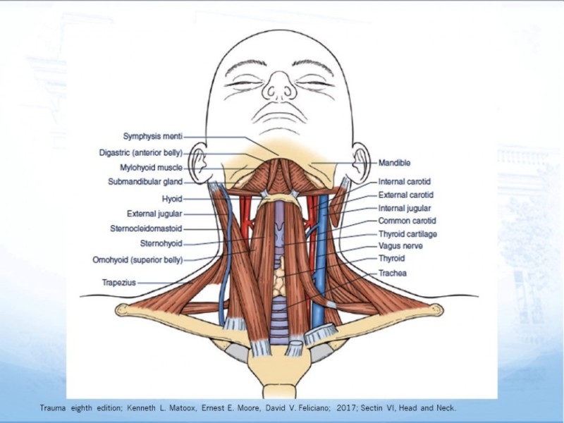 Diapositiva 6 de Trauma Cervical