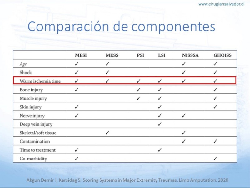 Diapositiva 16 de Cobertura de Extremidades Inferiores