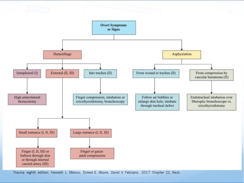 Diapositiva 17 de Trauma Cervical