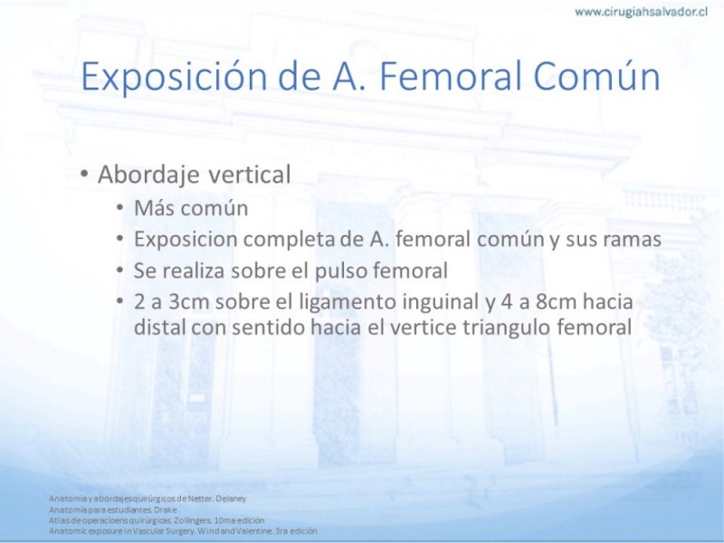 Diapositiva 4 de Anatomía quirúrgica y accesos quirúrgicos femoral y poplíteo