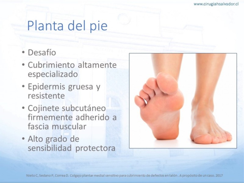 Diapositiva 55 de Cobertura de Extremidades Inferiores