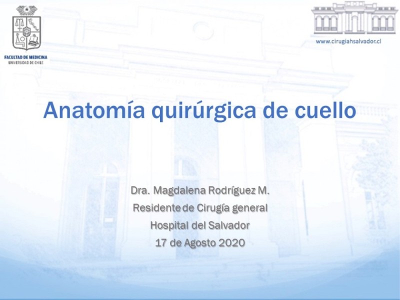 Diapositiva 26 de Anatomía quirúrgica de cuello