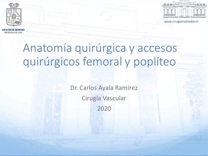 Diapositiva 29 de Anatomía quirúrgica y accesos quirúrgicos femoral y poplíteo