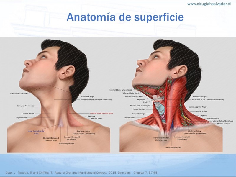 Que significa poner los pies detras del cuello