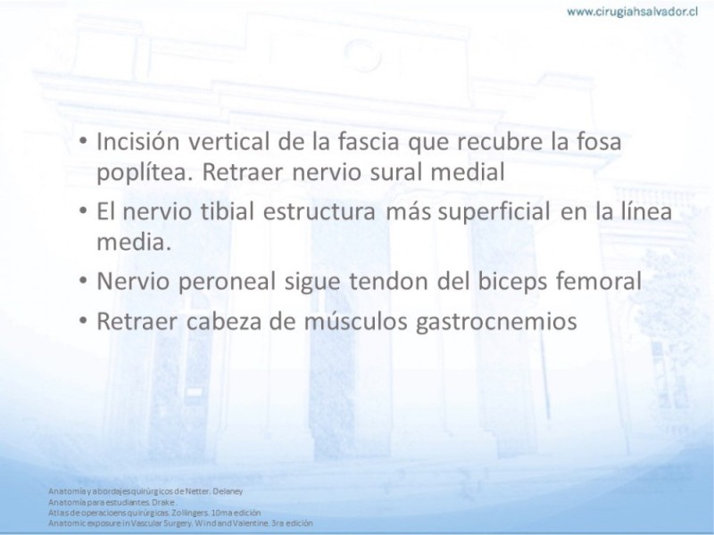 Diapositiva 18 de Anatomía quirúrgica y accesos quirúrgicos femoral y poplíteo