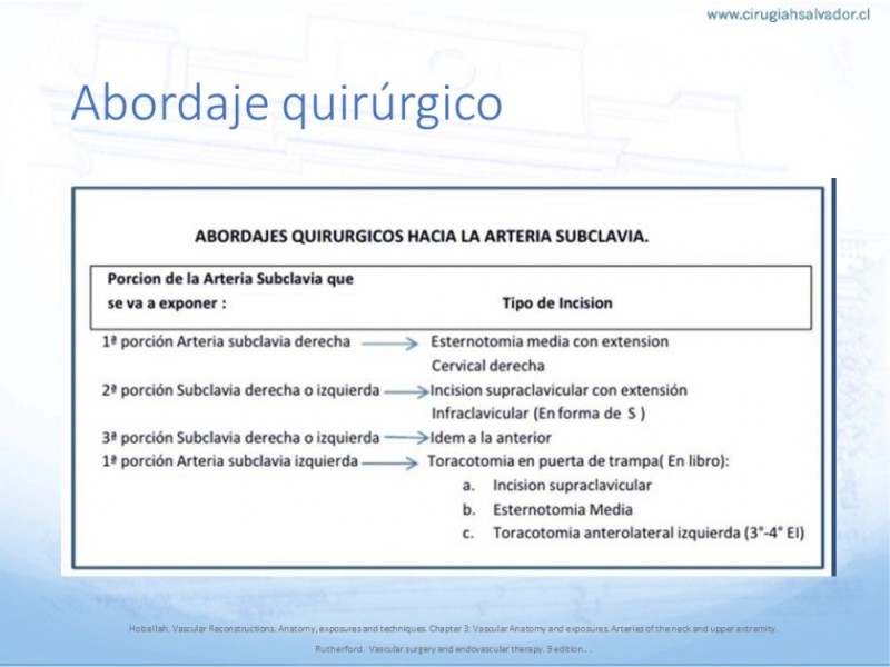Diapositiva 26 de Anatomía quirúrgica y accesos quirúrgicos carotideo y subclavio
