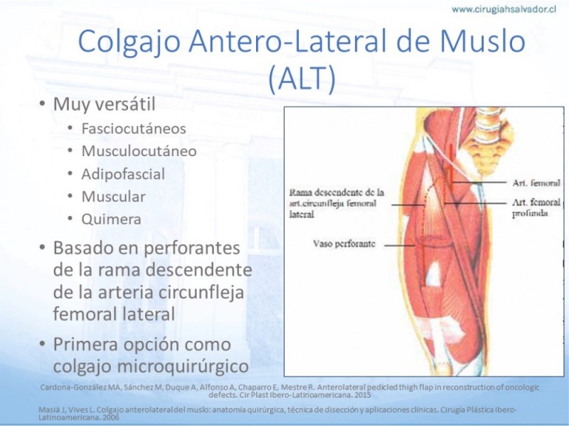 Diapositiva 24 de Cobertura de Extremidades Inferiores