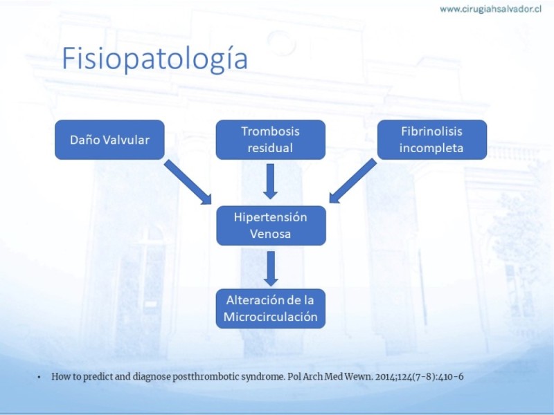 Diapositiva 2 de Síndrome Post Trombótico