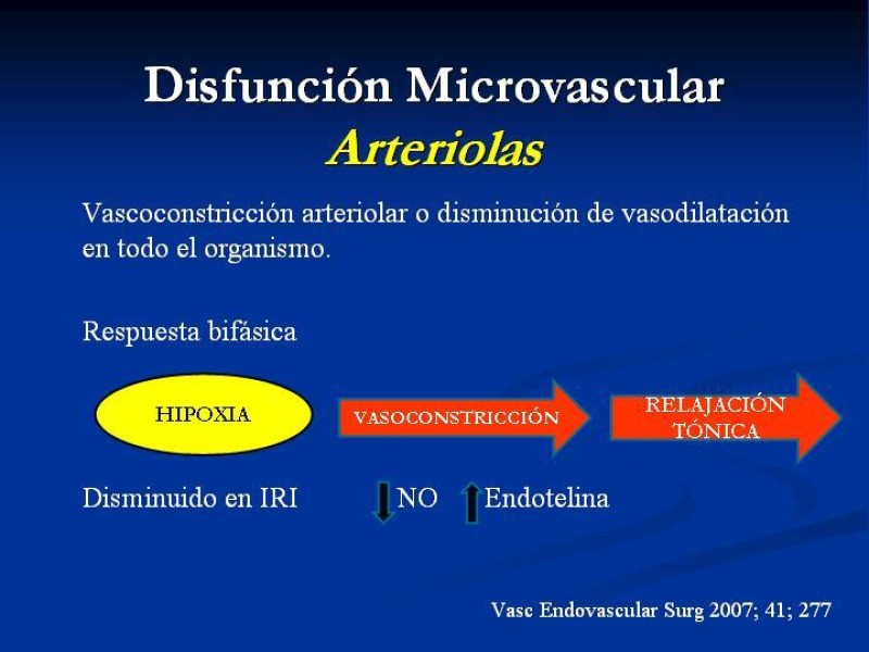 Diapositiva 15 de SD. Reperfusión