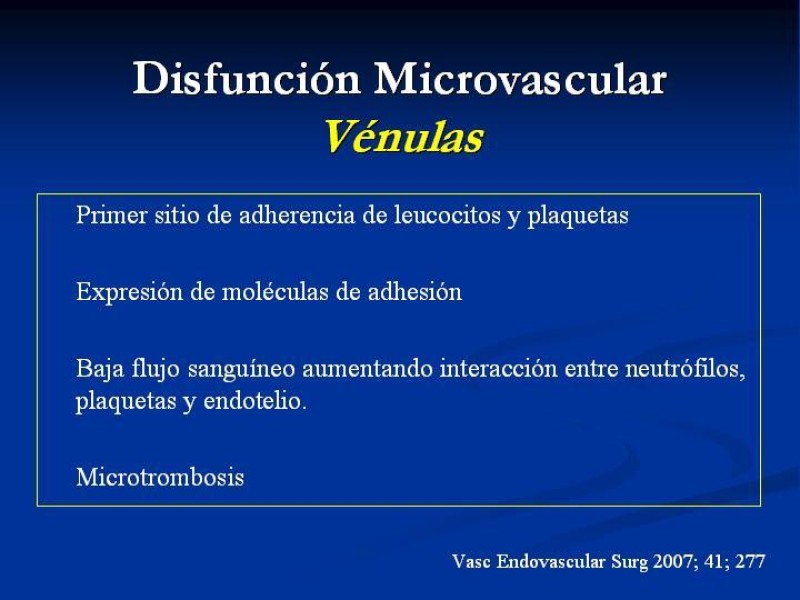 Diapositiva 17 de SD. Reperfusión