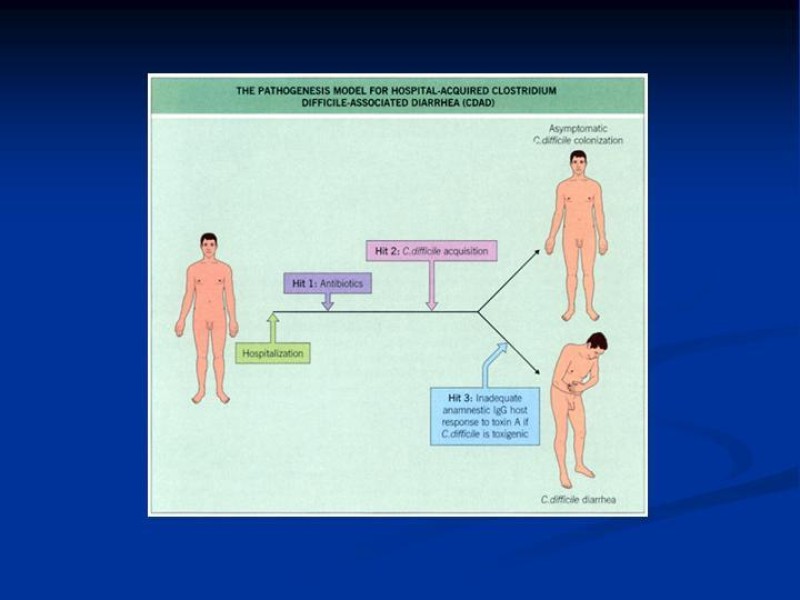 Diapositiva 7 de Infección Asociada a Clostridium Difficile
