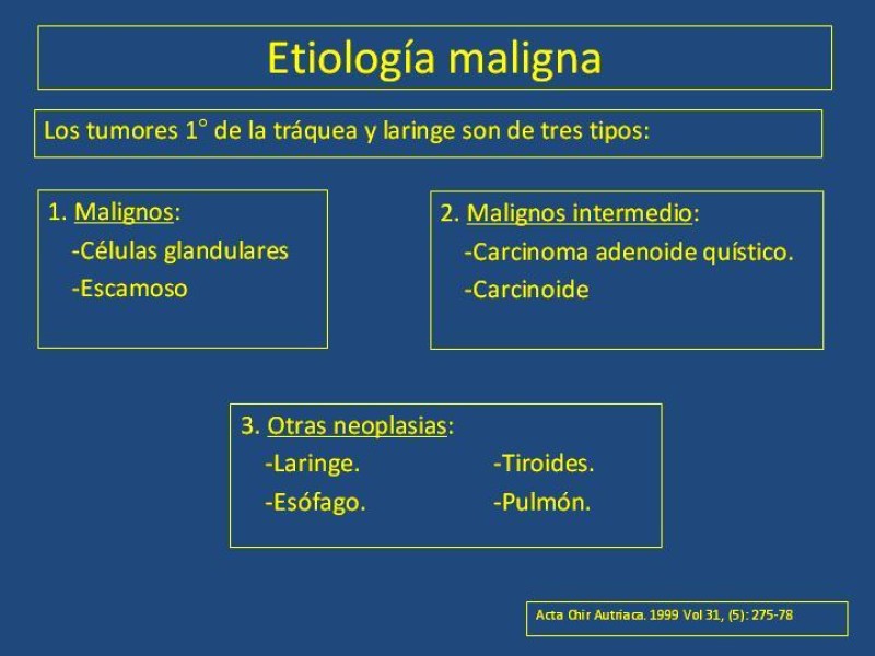 Diapositiva 12 de Estenosis laringo-traqueal pt. I