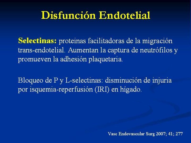Diapositiva 8 de SD. Reperfusión