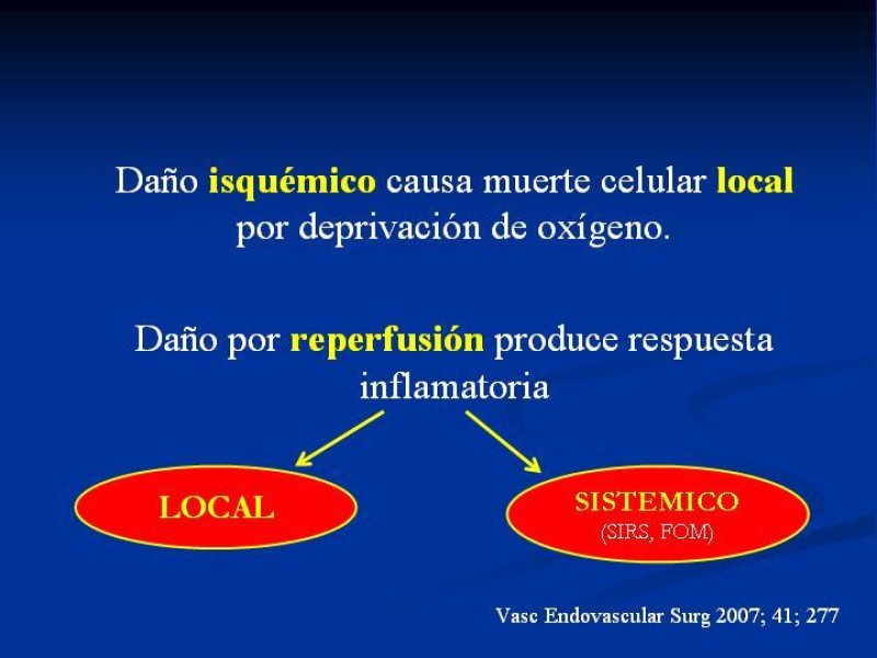Diapositiva 5 de SD. Reperfusión