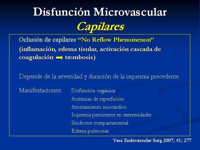Diapositiva 16 de SD. Reperfusión