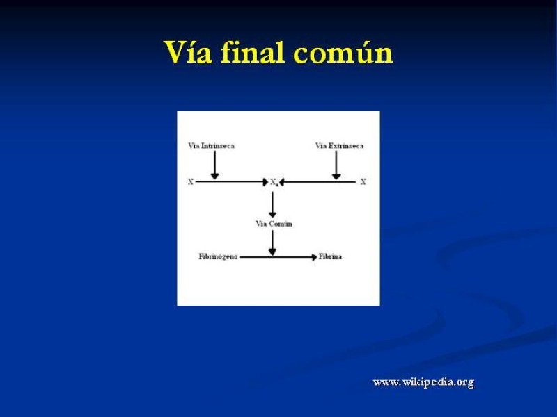 Diapositiva 9 de Anticoagulantes