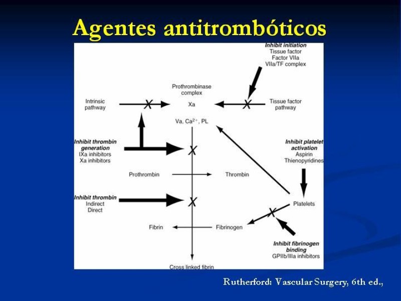 Diapositiva 17 de Anticoagulantes