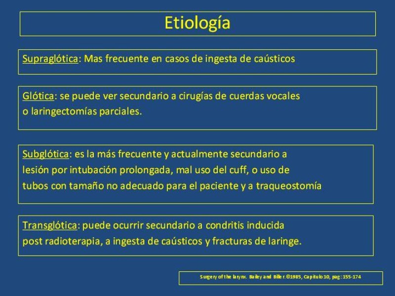 Diapositiva 11 de Estenosis laringo-traqueal pt. I