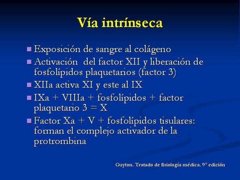 Diapositiva 12 de Anticoagulantes