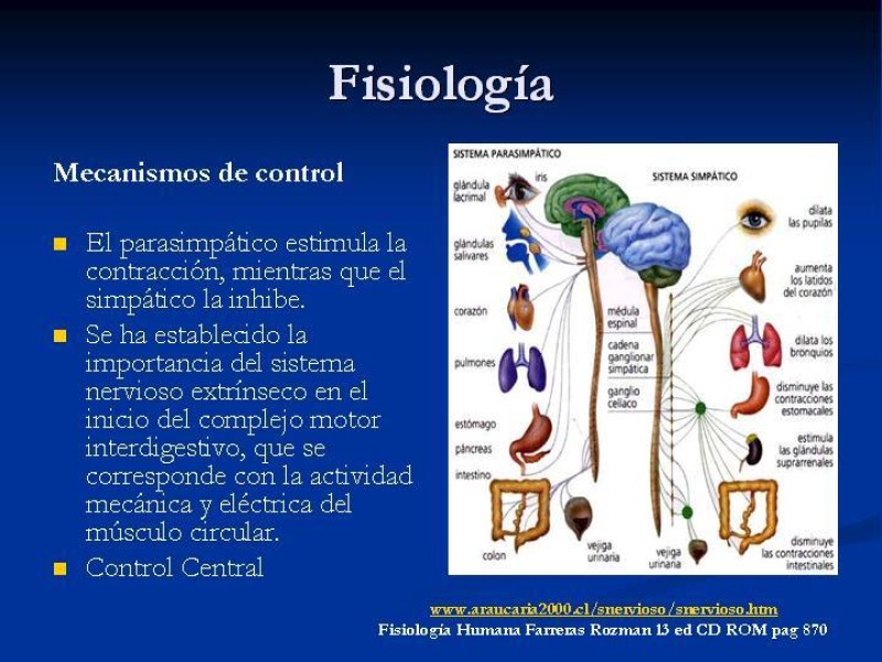 Diapositiva 2 de Ileo postoperatorio