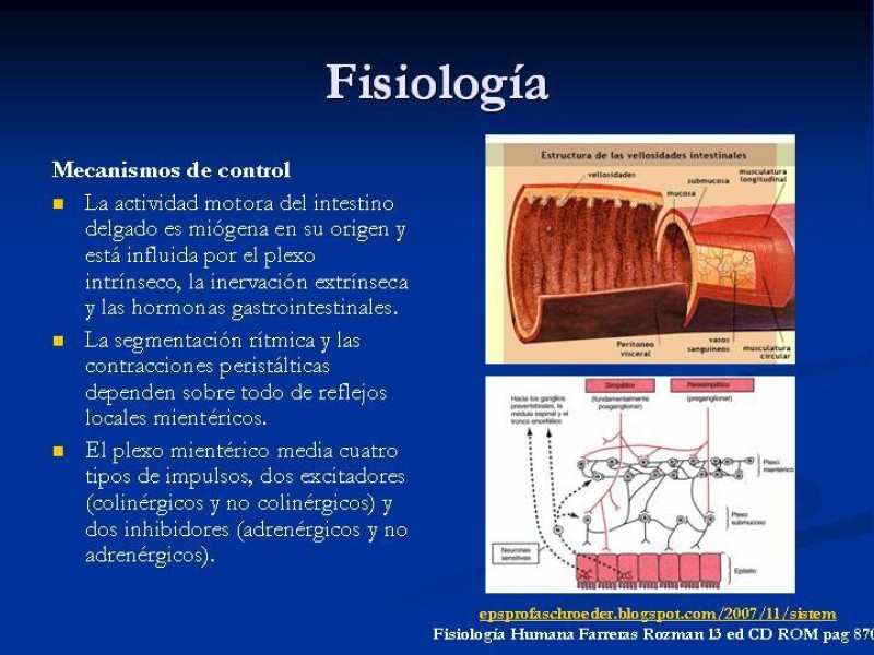 Diapositiva 1 de Ileo postoperatorio