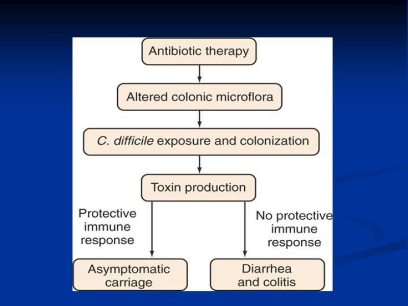 Diapositiva 6 de Infección Asociada a Clostridium Difficile