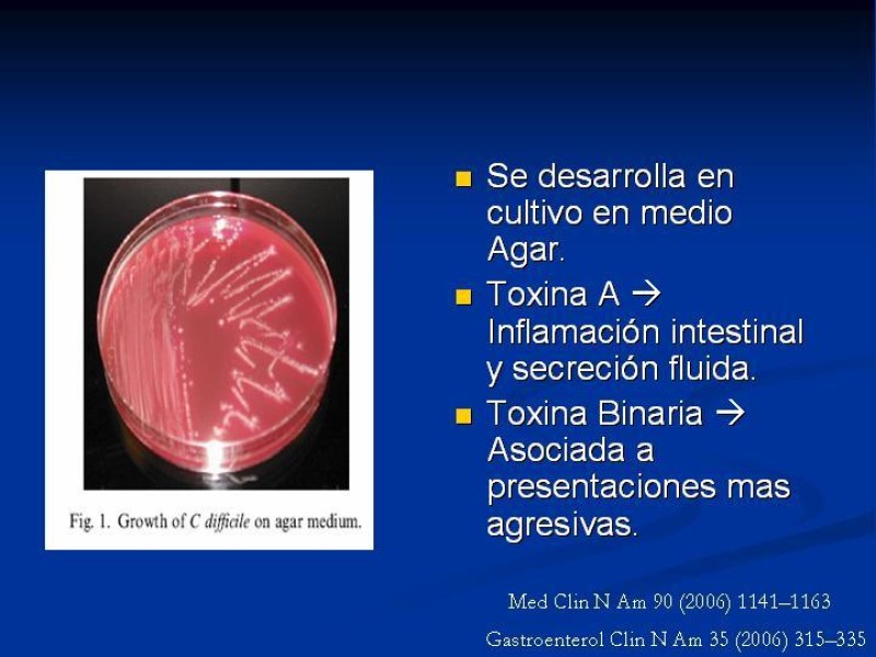 Diapositiva 4 de Infección Asociada a Clostridium Difficile