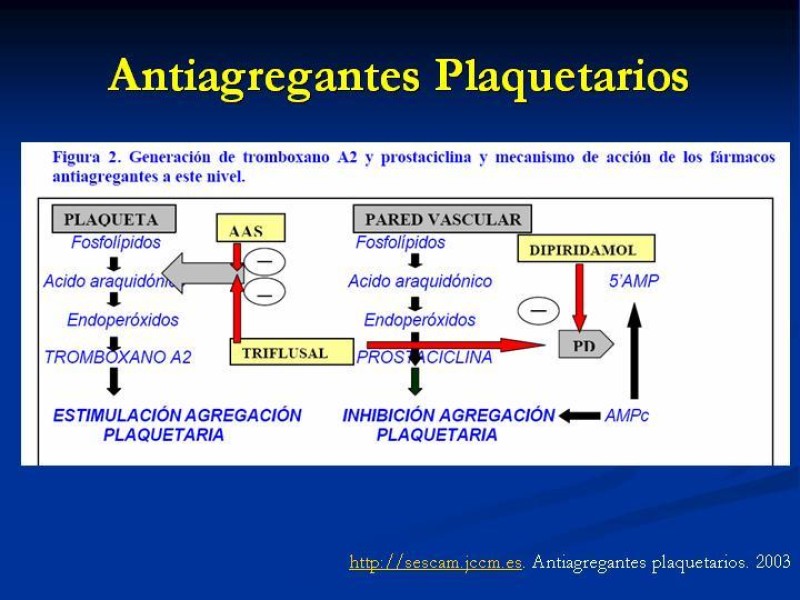 Diapositiva 39 de Anticoagulantes