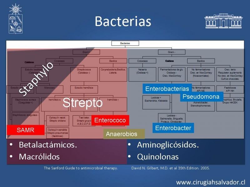 Diapositiva 2 de Armamentario ATB HDS: Indicaciones y usos