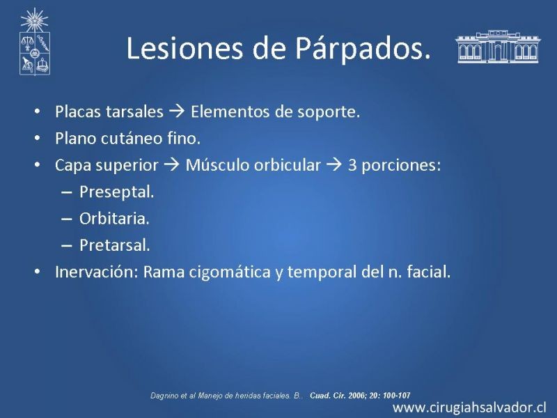 Diapositiva 29 de Trauma Facial: Manejo Quirúrgico de Partes Blandas  
