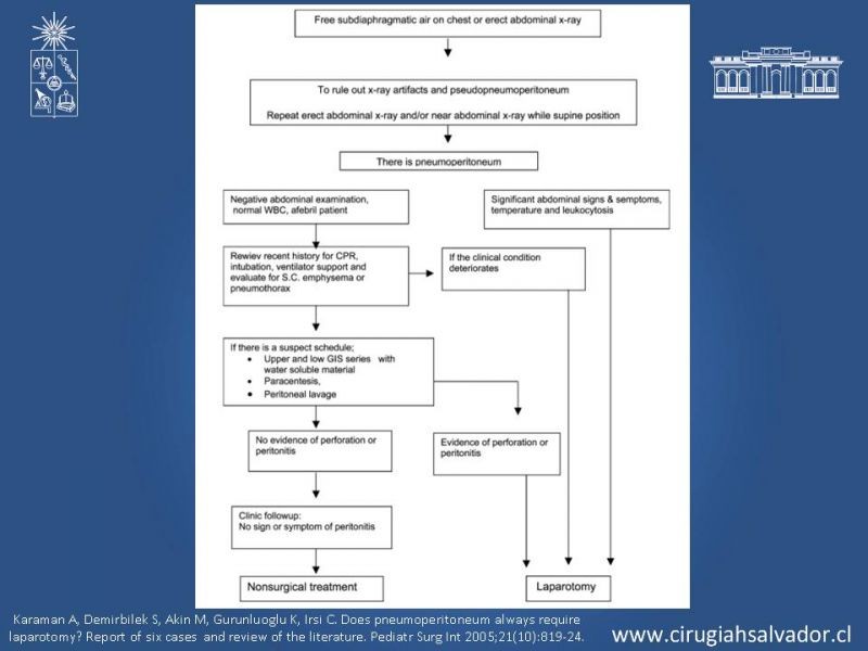 Diapositiva 46 de Caso Clínico