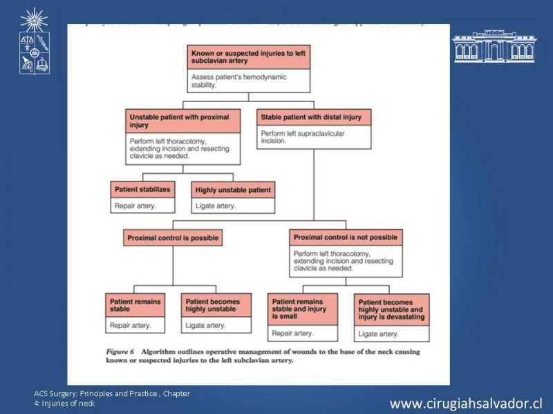 Diapositiva 28 de Manejo del trauma cervical penetrante