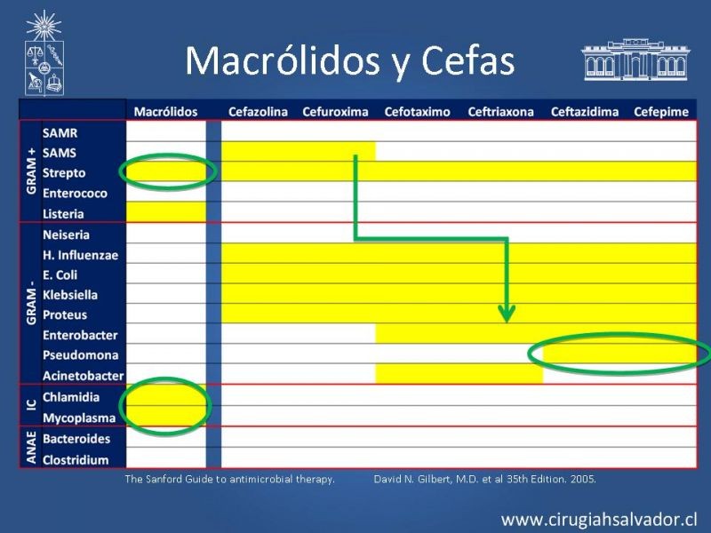 Diapositiva 4 de Armamentario ATB HDS: Indicaciones y usos