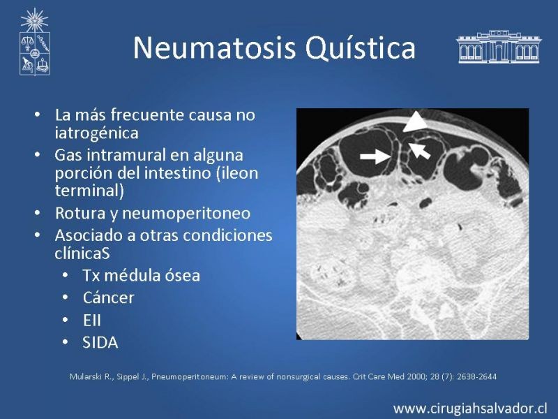 Diapositiva 28 de Caso Clínico